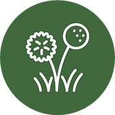 weed control